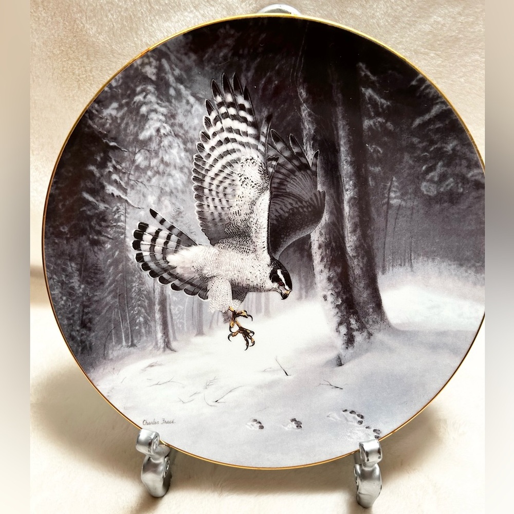 Soaring Majesty Collector Plate The Northern Goshawk 2nd Issue Fine China Bradex